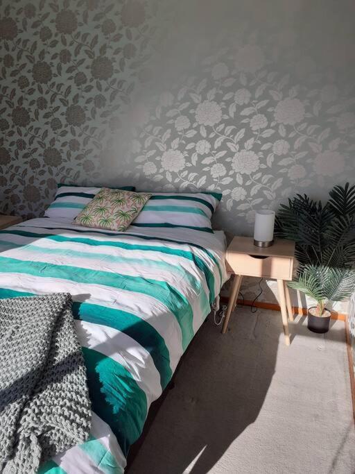 3 Bedroom Holiday Home In Prime Kaikoura Location! Ngoại thất bức ảnh